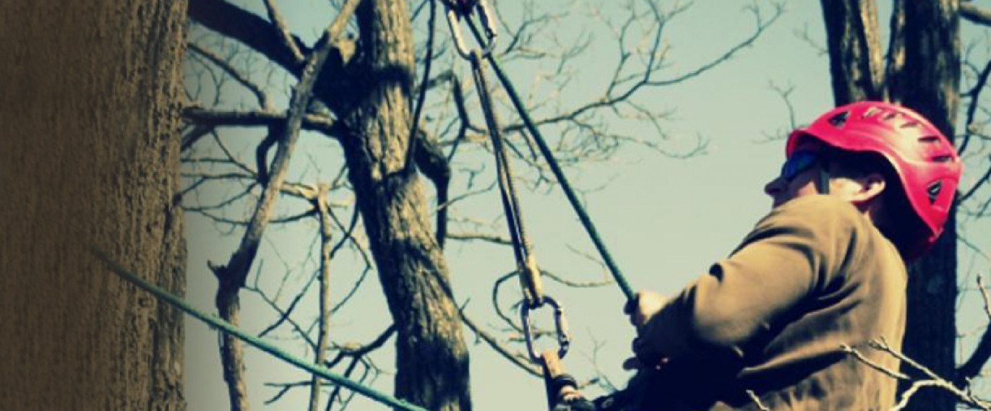 We use climbing to get those hard to reach places!