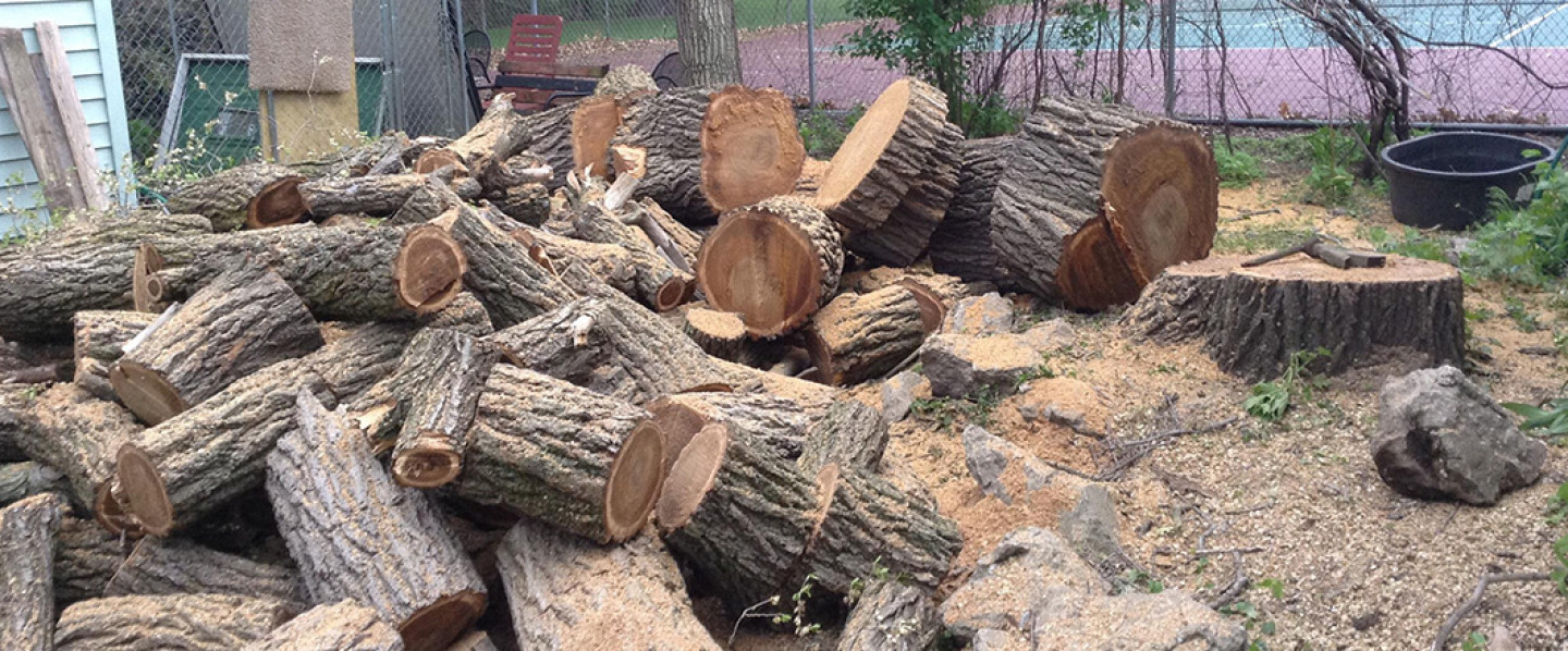 Professional and affordable service in Strum, Altoona, Osseo, Menomonie & Eau Claire, WI!