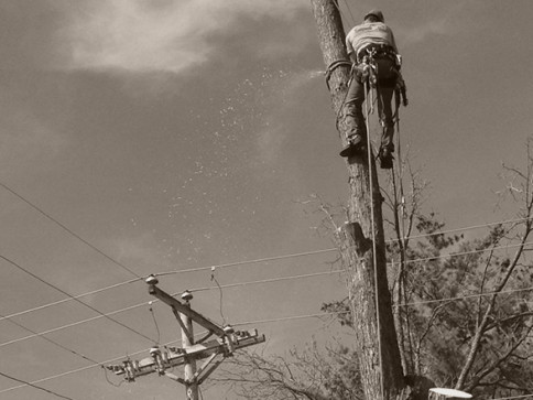 Our professional, reliable and safety first process