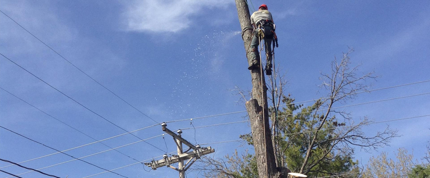 Years of experience and fully insured.