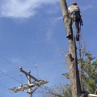 General Services and Land Clearing